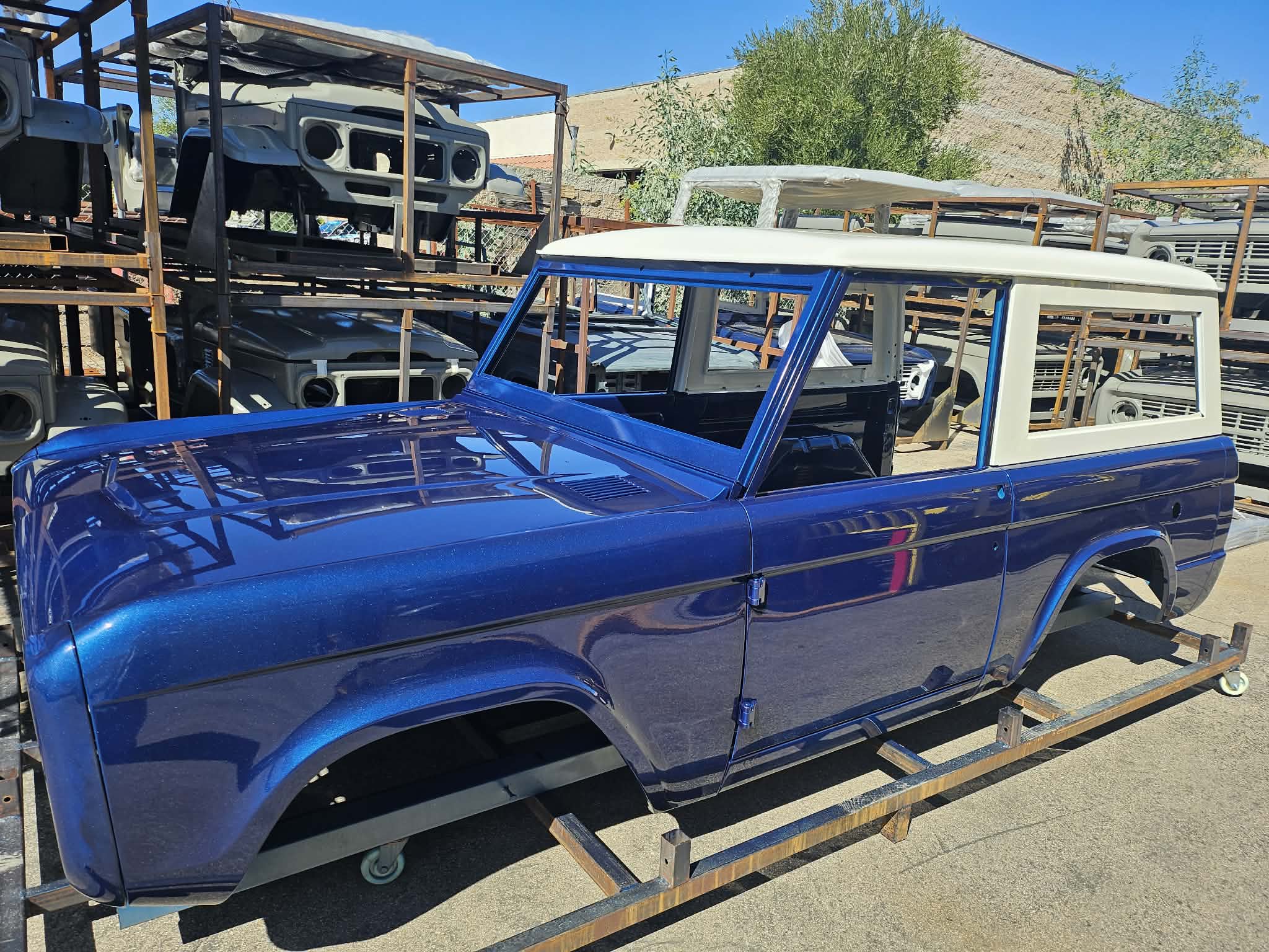 New Body